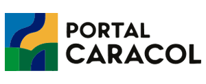 Logo do Site de Notícias.