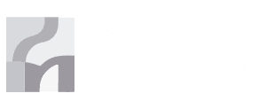 Logo do Site de Noticias.