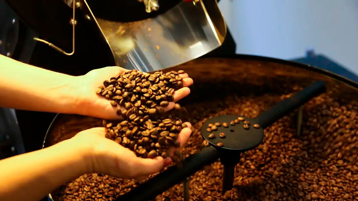  Consumo de café cai 16%, diz associação da indústria 